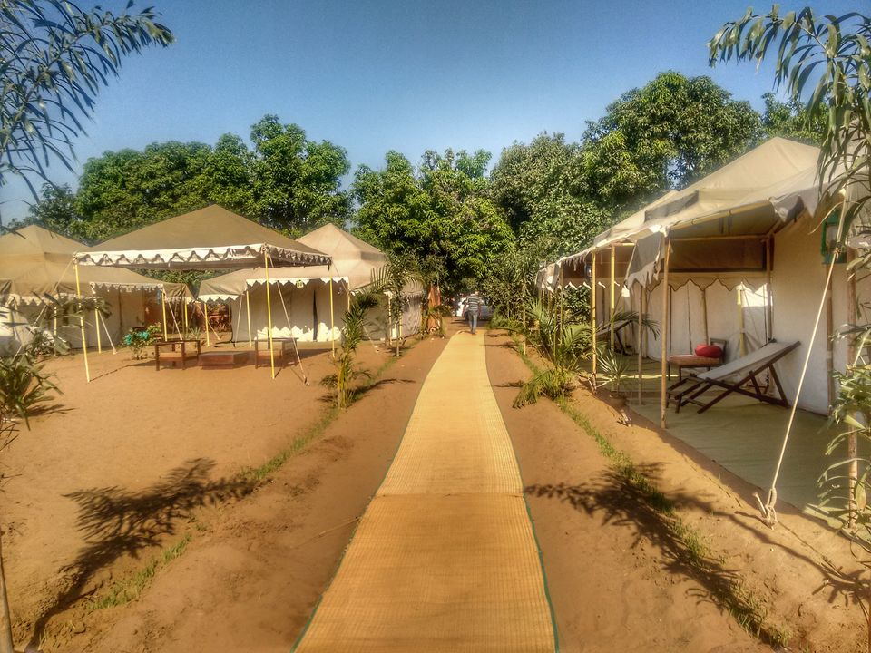 Photo of 10 Reasons Why the Pushkar Camel Fair is an Exceptional Travel Experience. by Bidisha