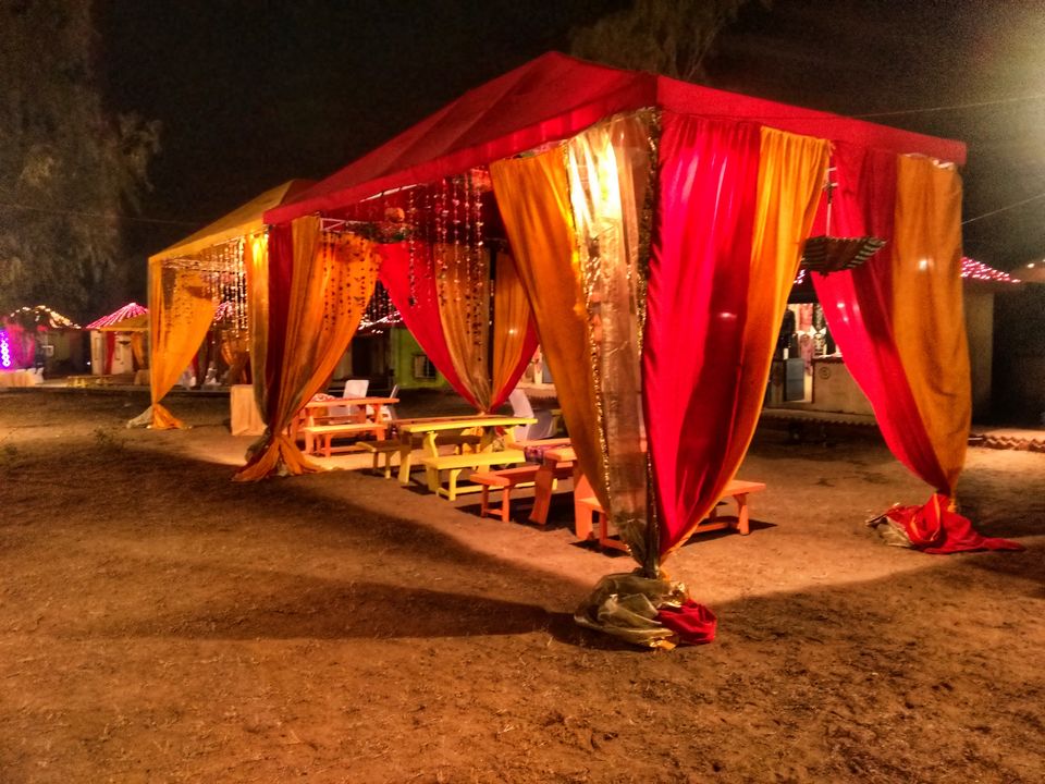 Photo of 10 Reasons Why the Pushkar Camel Fair is an Exceptional Travel Experience. by Bidisha