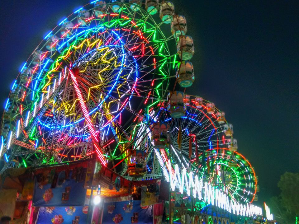 Photo of 10 Reasons Why the Pushkar Camel Fair is an Exceptional Travel Experience. by Bidisha