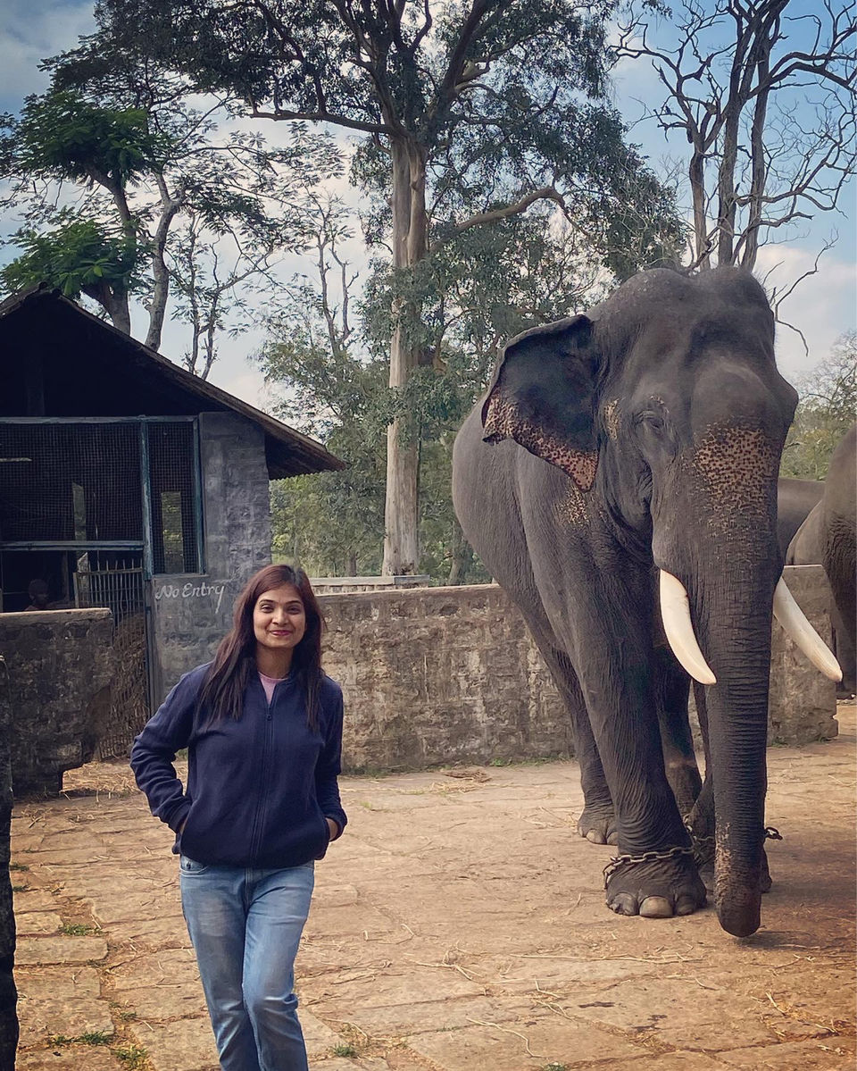 Photo of Kushalnagar, Coorg ~ An Admirable Short Escape by Neha Anand