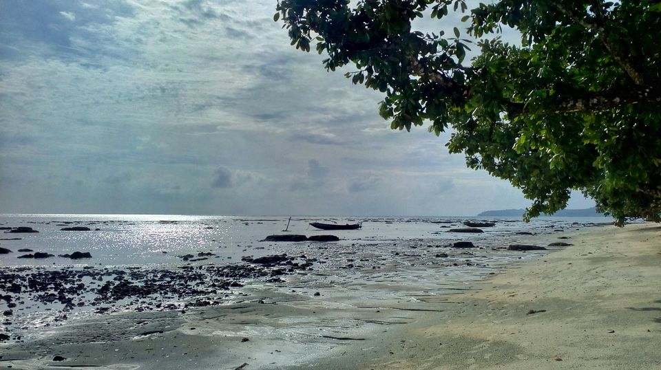 Photo of Havelock - Top Things to do on the Island by Jonathan Ájod
