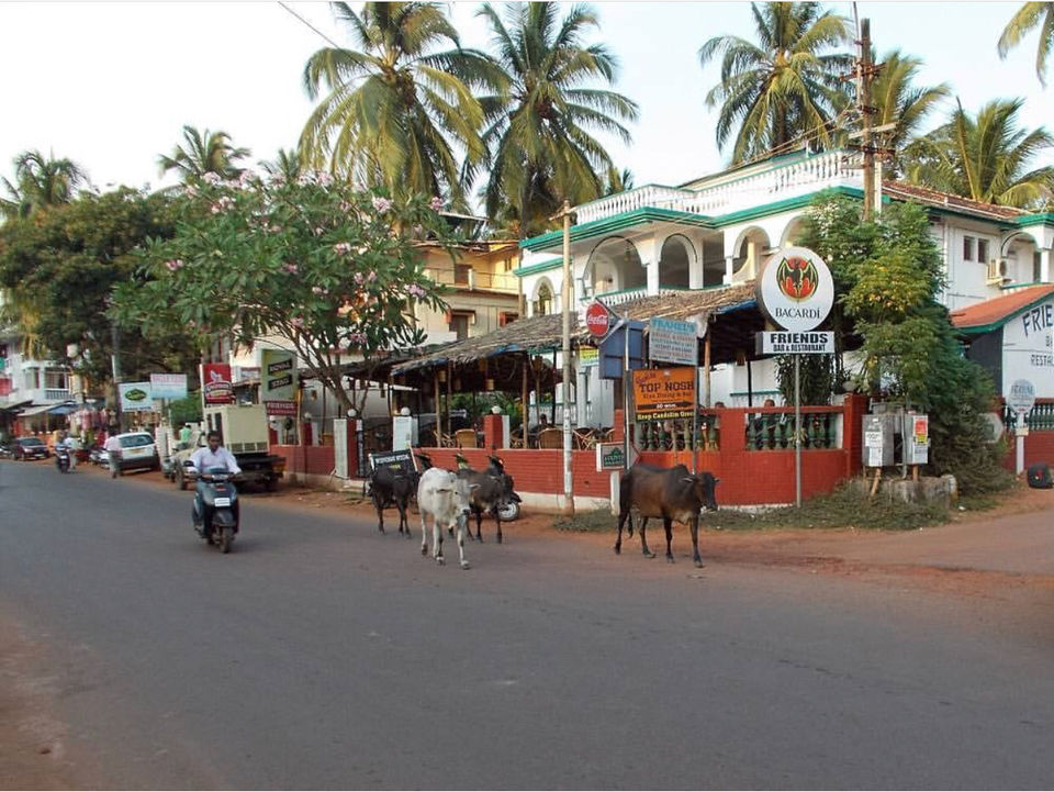 Photo of Goa In An Unconventional Way ! by Vaishu Jadeja