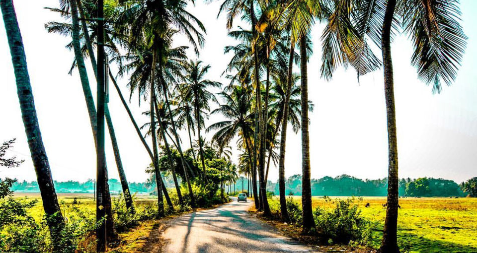 Photo of Goa In An Unconventional Way ! by Vaishu Jadeja
