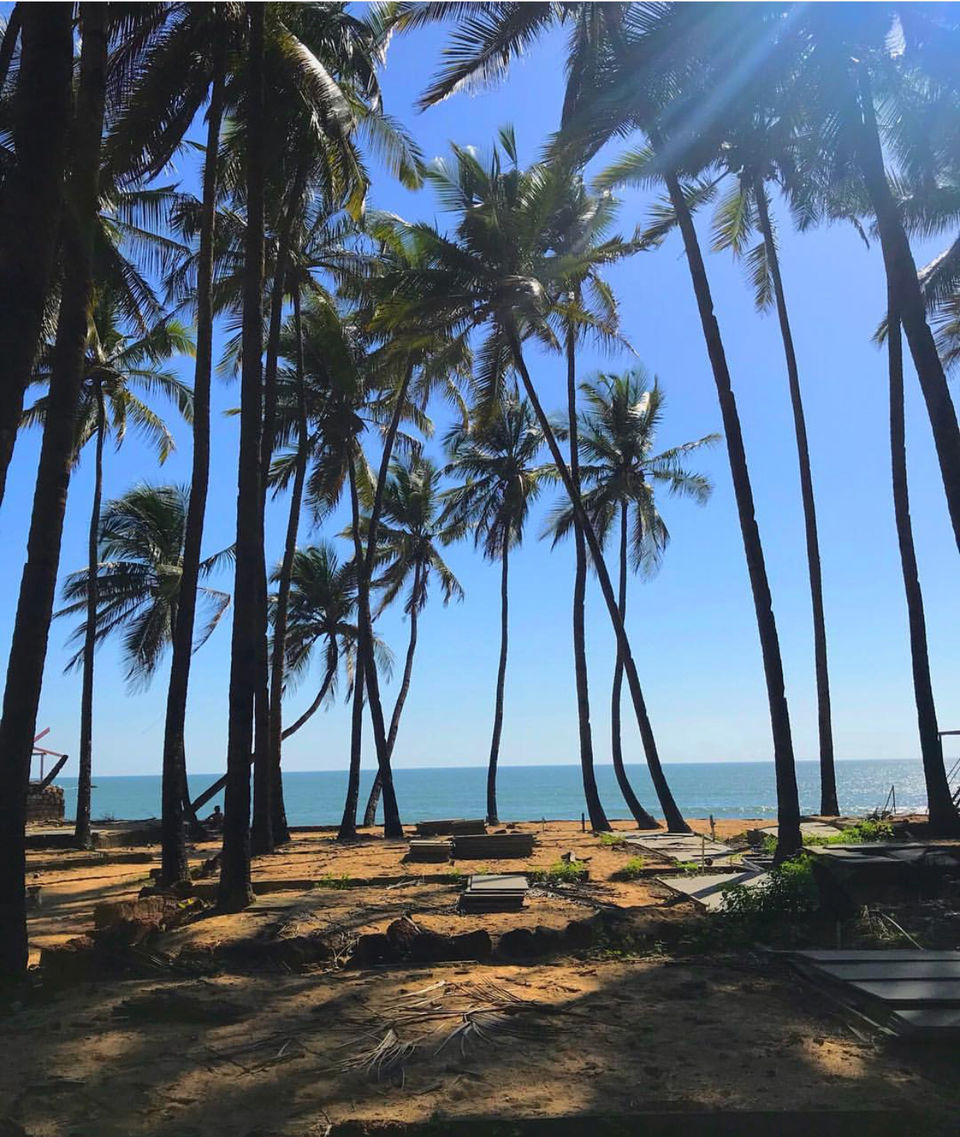 Photo of Goa In An Unconventional Way ! by Vaishu Jadeja