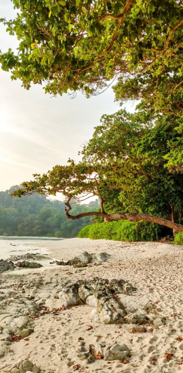Photo of Radhanagar Beach, Andaman and Nicobar Islands by Nehaal
