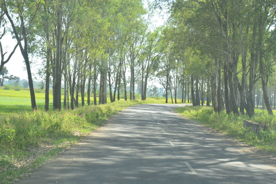 Photo of Mainpat - Where Magic Happens 1/15 by Sanjiv Shivan
