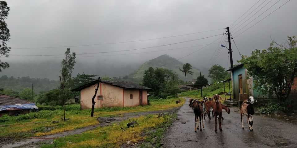 Photo of Irshalgad - Trekking to the most underrated trekking spot in Matheran 1/6 by Vedant Solanki