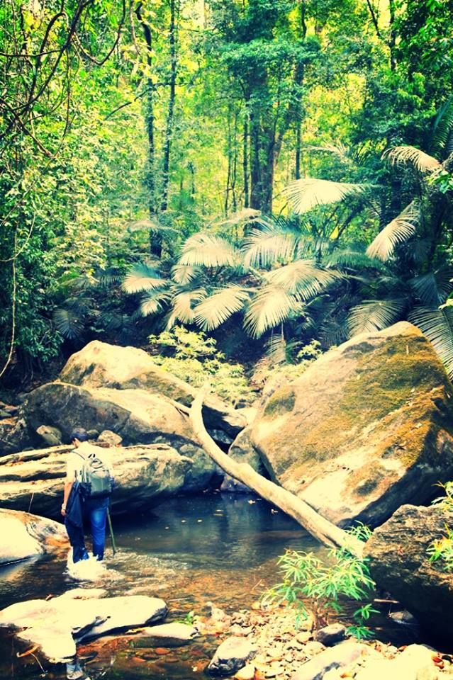 Photo of The Amazon of India 11/38 by Priyanka Jena