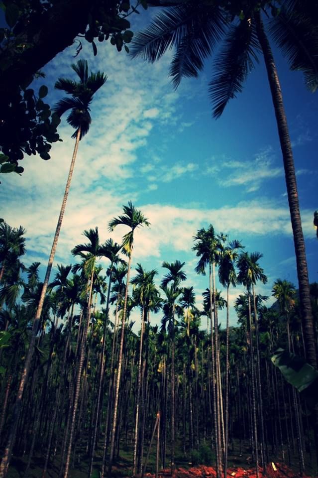 Photo of The Amazon of India 7/38 by Priyanka Jena