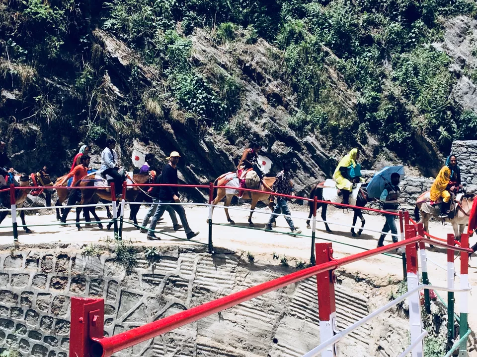 Photo of Saranatok by Sandeepam