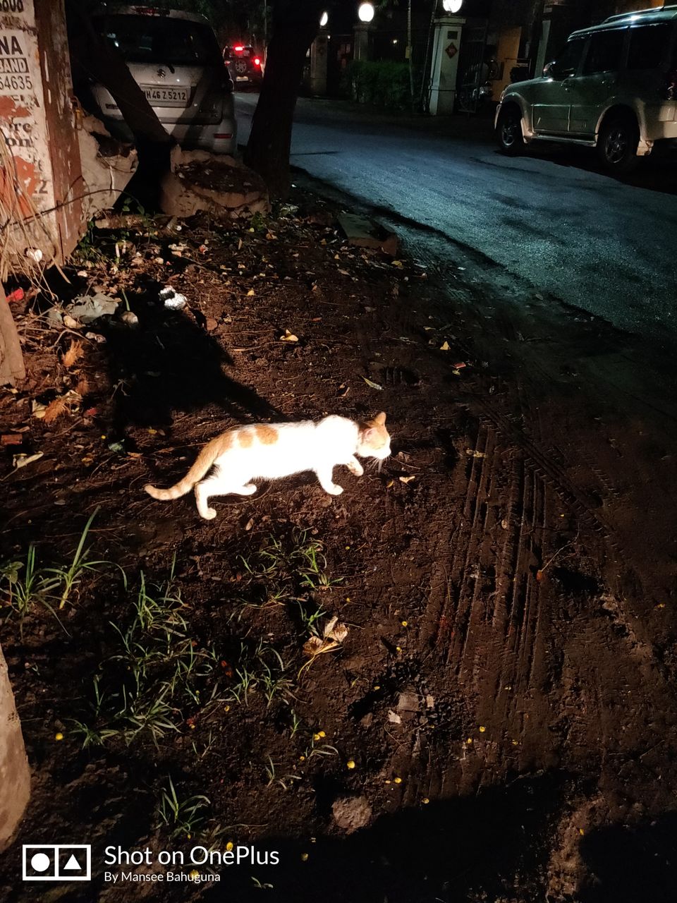Photo of Gera Emerald City Road, Pune, India by Mansee Tewari Bahuguna
