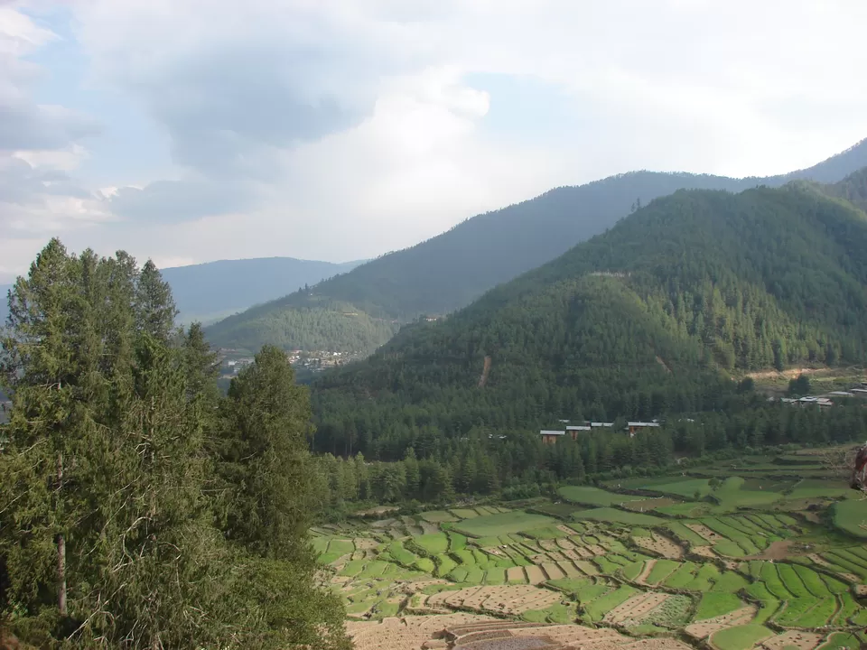 Photo of Paro, Bhutan, Paro, Bhutan by Swati Sambyal