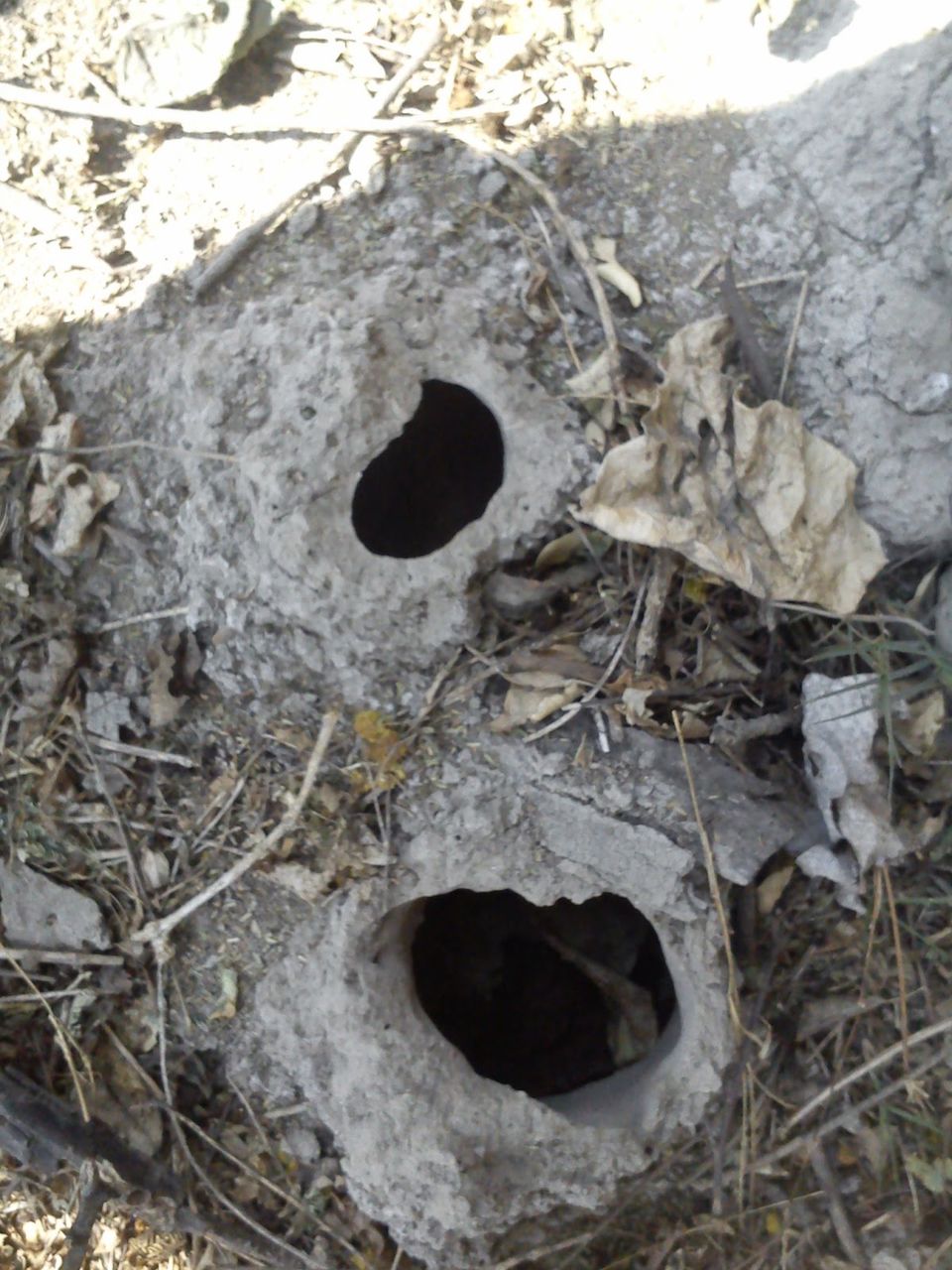 Photo of A trip to Bharatpur Bird Sanctuary and Deeg 7/11 by Swati Sambyal