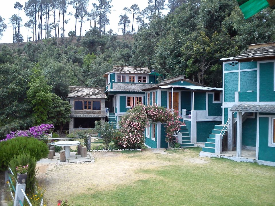 Photo of Nothingness in Binsar 1/6 by Swati Sambyal