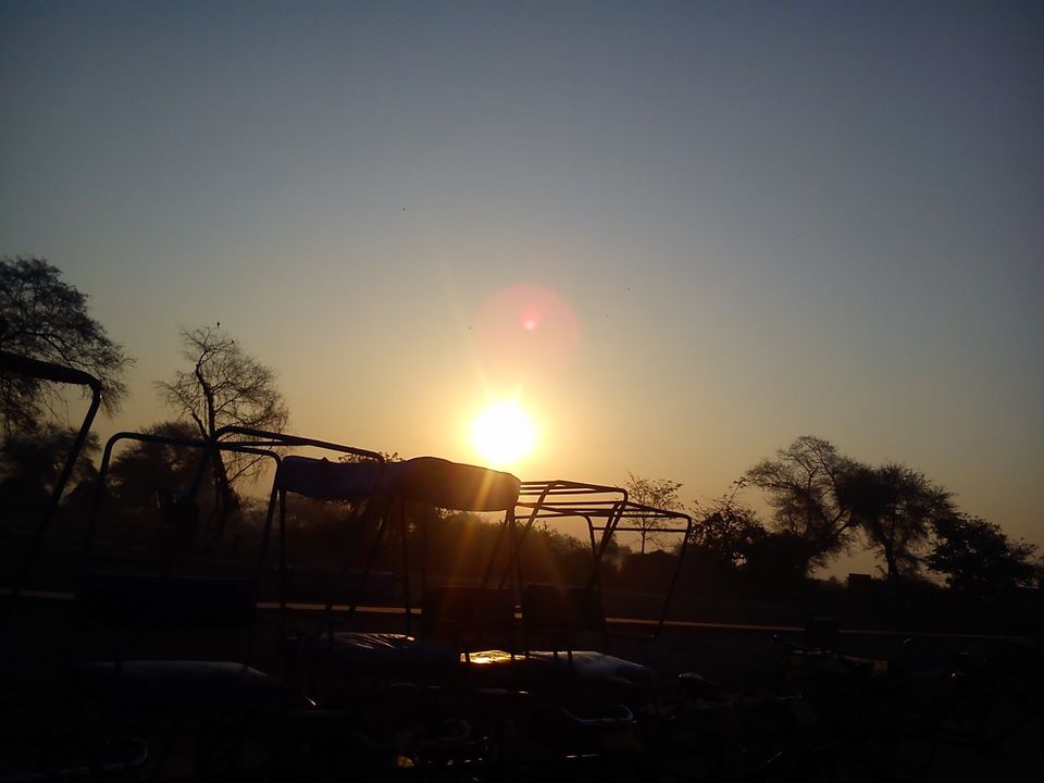 Photo of A trip to Bharatpur Bird Sanctuary and Deeg 1/11 by Swati Sambyal