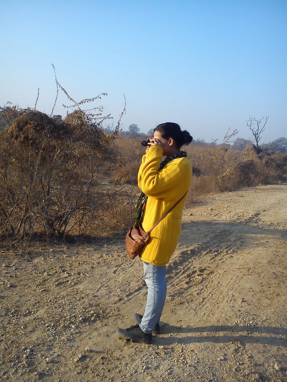 Photo of Bird Watching at Bharatpur 21/39 by Swati Sambyal