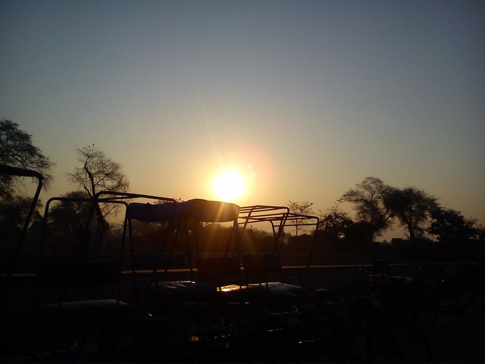 Photo of Bird Watching at Bharatpur 20/39 by Swati Sambyal