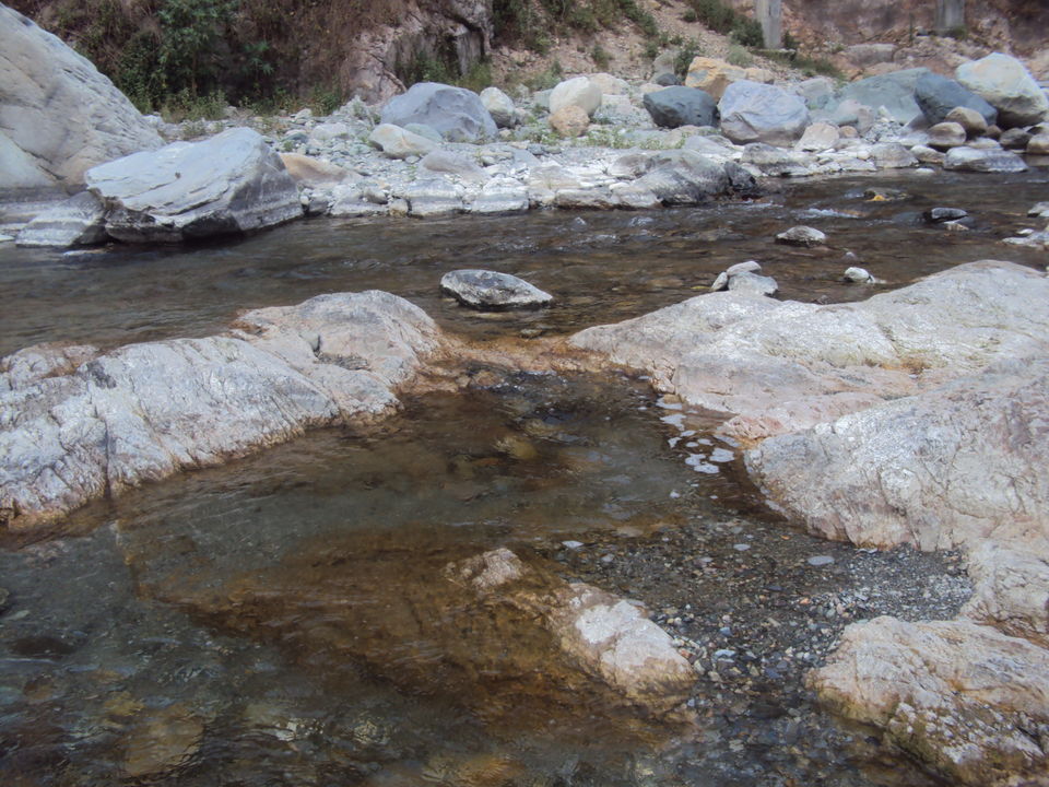 Photo of Nothingness in Binsar 6/6 by Swati Sambyal