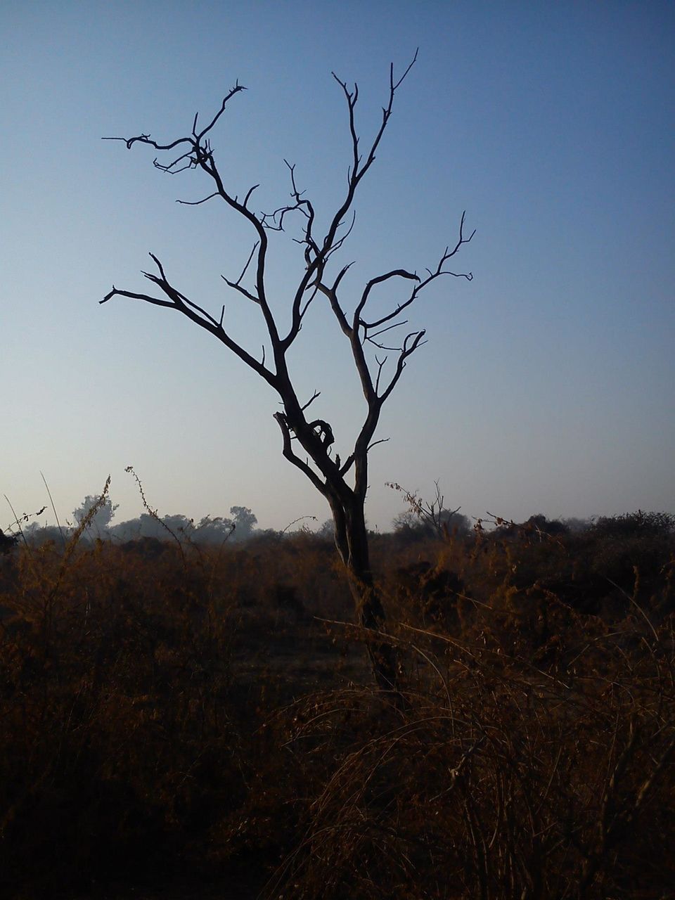Photo of Bird Watching at Bharatpur 24/39 by Swati Sambyal