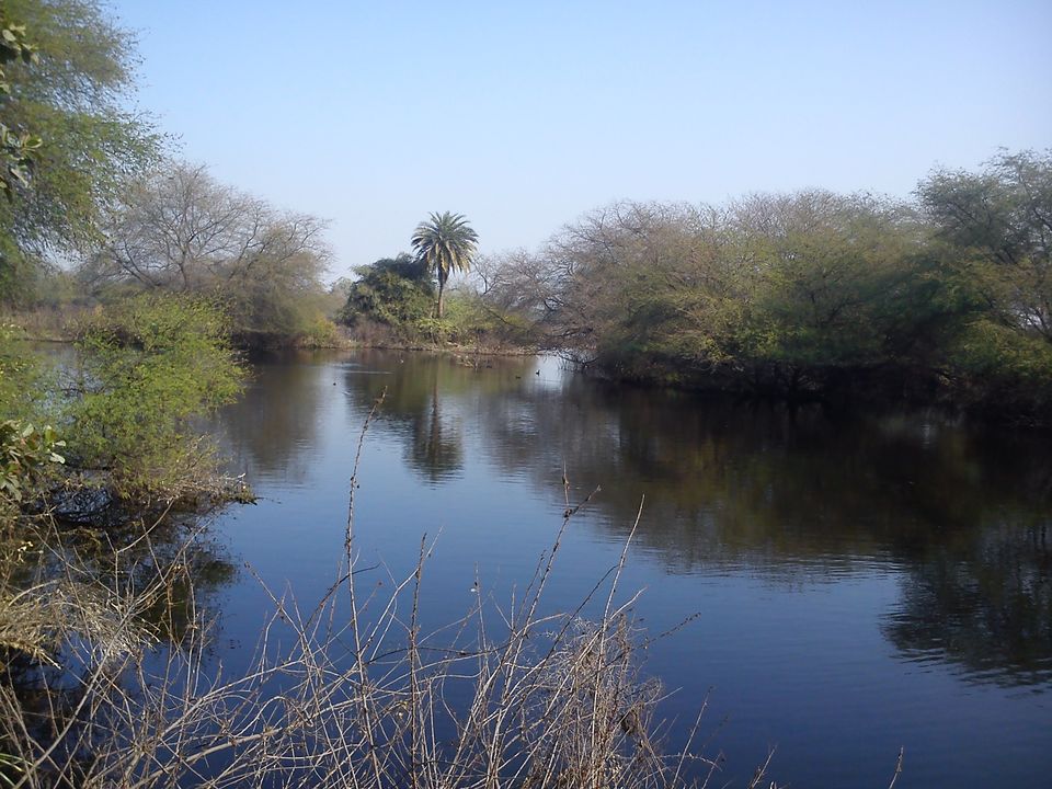 Photo of Bird Watching at Bharatpur 35/39 by Swati Sambyal