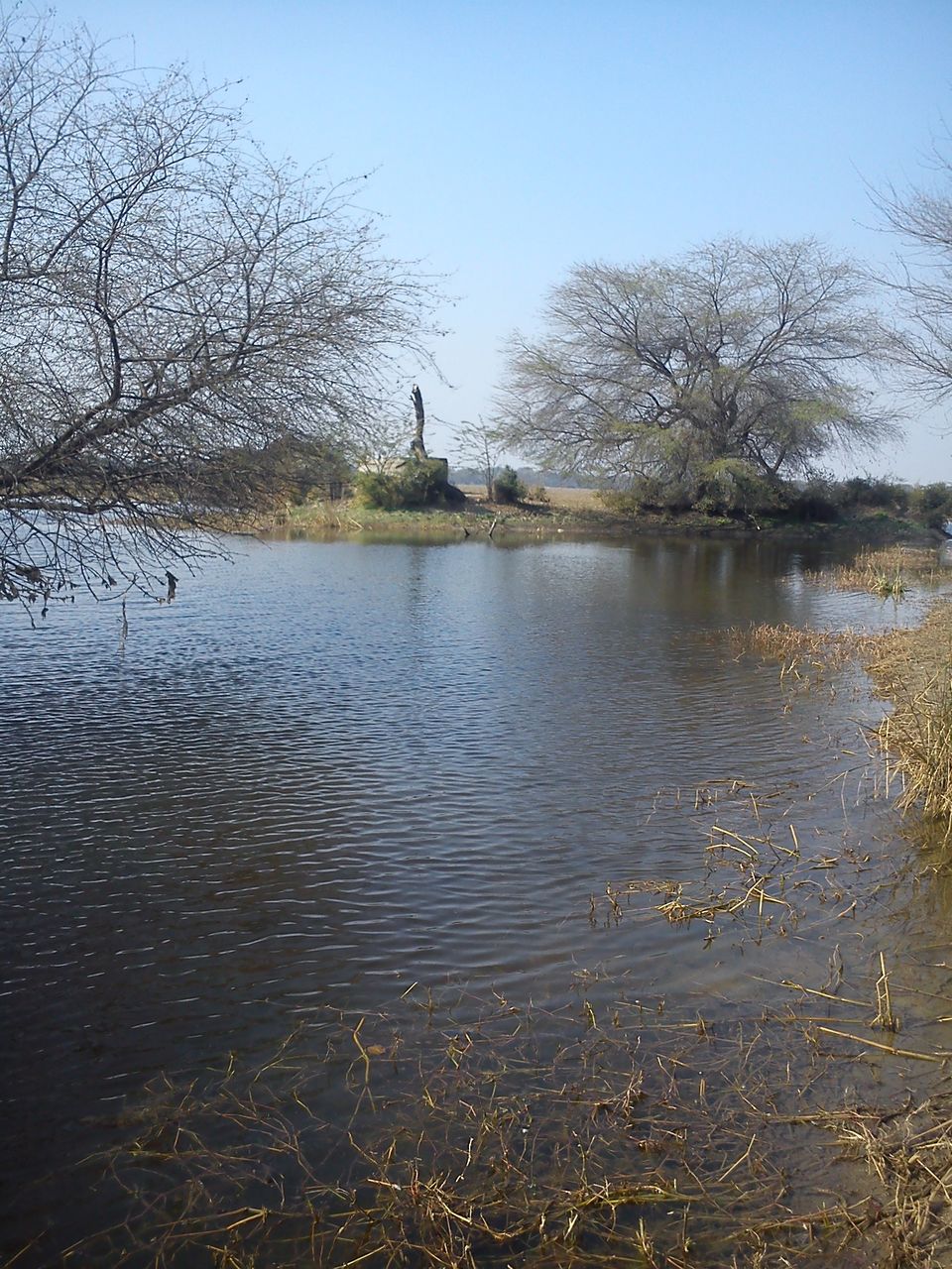 Photo of Bird Watching at Bharatpur 36/39 by Swati Sambyal