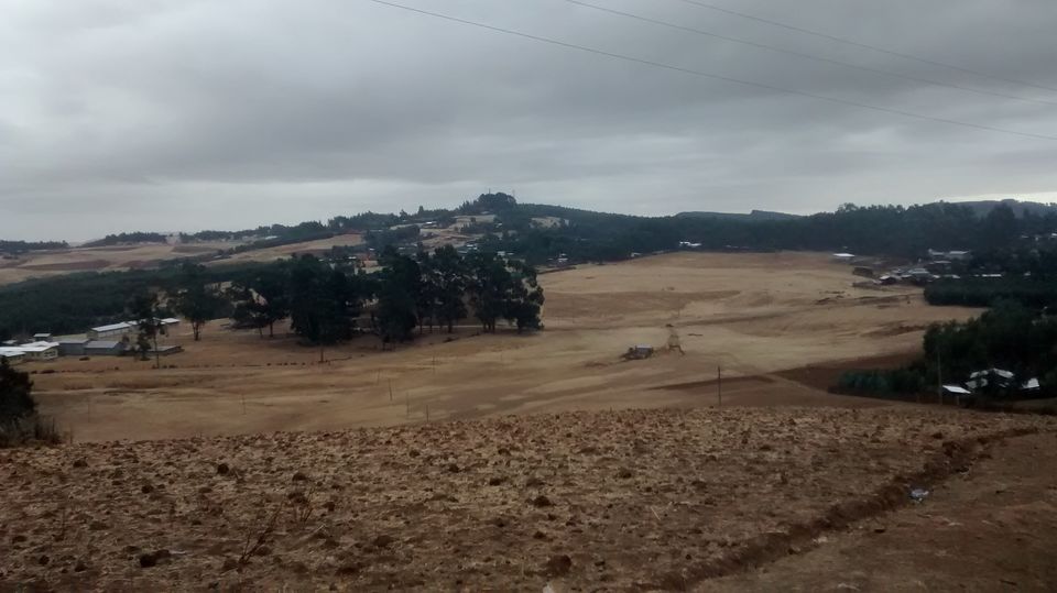 Photo of Amasagnallo Ethiopia 13/31 by Swati Sambyal