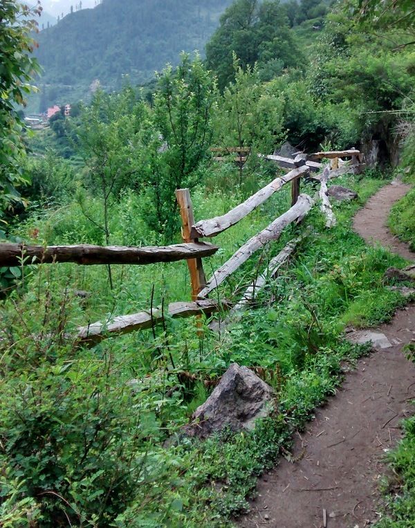 Photo of Kheerganga: A Walking Trail For The Gypsy Soul 2/5 by Swati Sambyal