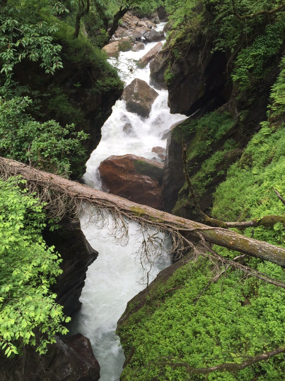 Photo of The route to all: Kasol! 5/27 by The Fernweh Experience