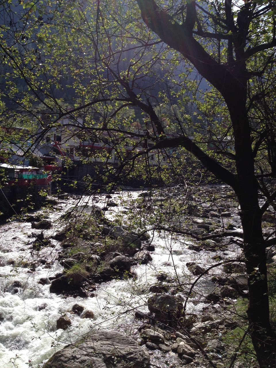 Photo of The route to all: Kasol! 13/27 by The Fernweh Experience
