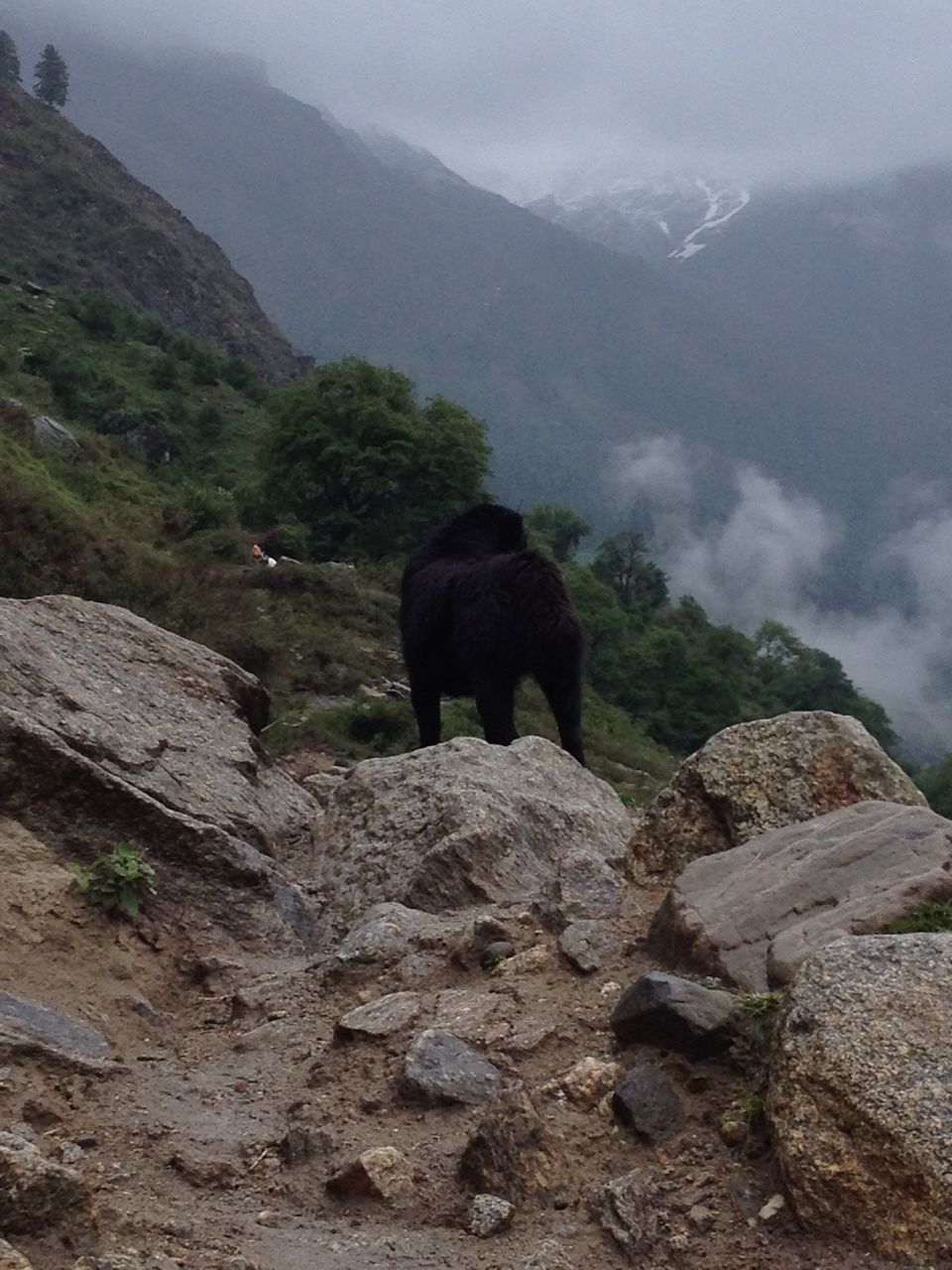 Photo of The route to all: Kasol! 19/27 by The Fernweh Experience