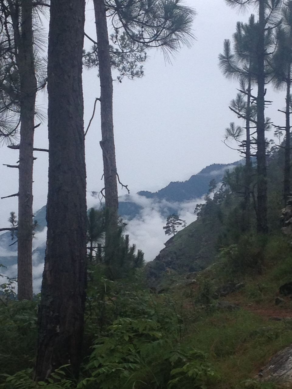 Photo of The route to all: Kasol! 21/27 by The Fernweh Experience