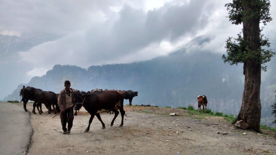 Photo of Himalayan Conquest - via hells and heavens. 38/96 by Manoj Kumar