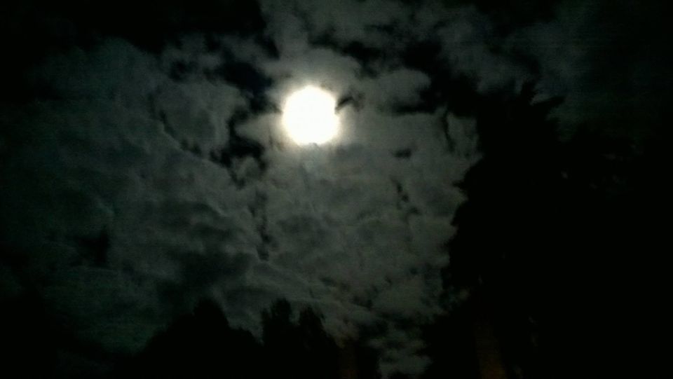 Photo of Kodaikanal again!! And Always!! A sublime display of nature's presence :) 16/21 by Manoj Kumar