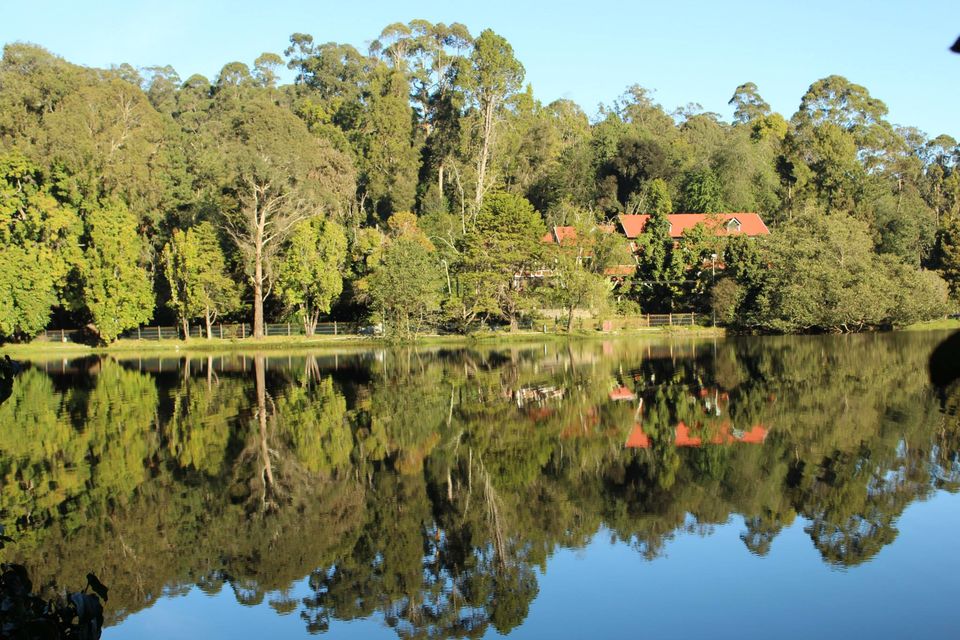 Photo of Kodaikanal again!! And Always!! A sublime display of nature's presence :) 2/21 by Manoj Kumar