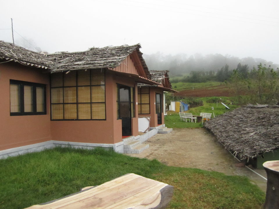 Photo of Kodanad! - A serene hilltop on Nilgiris range 2/12 by Manoj Kumar
