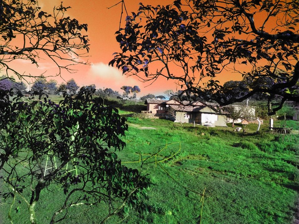 Photo of Kodanad! - A serene hilltop on Nilgiris range 7/12 by Manoj Kumar