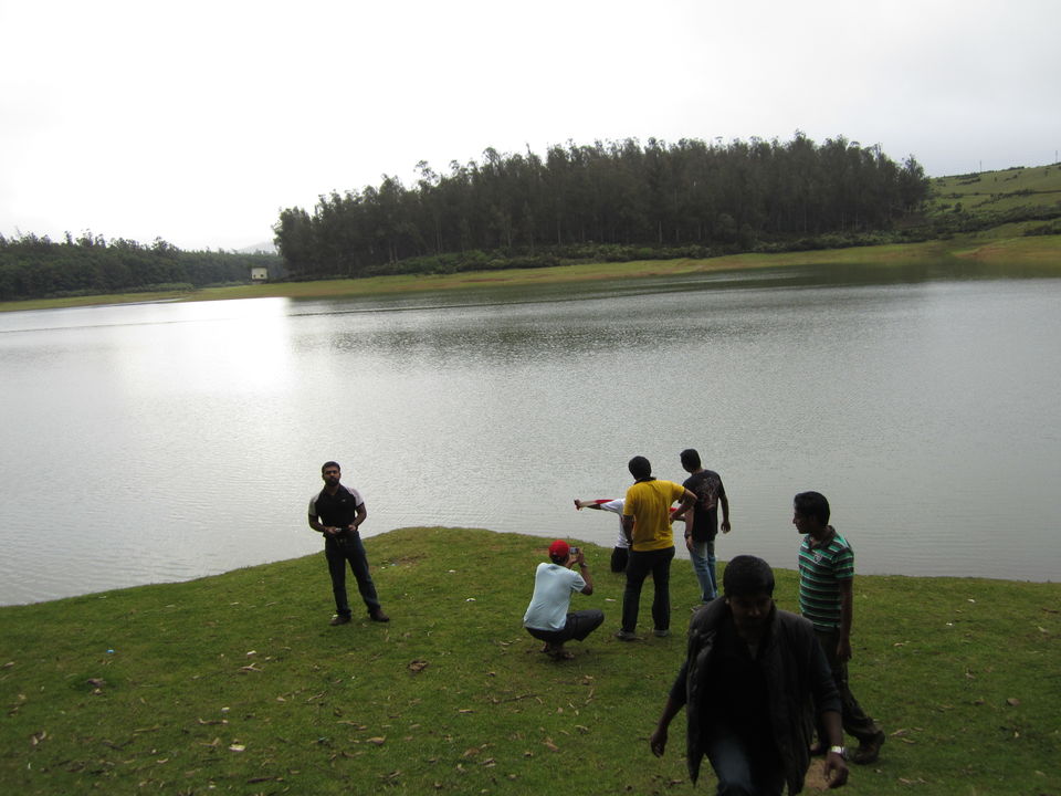 Photo of Kodanad! - A serene hilltop on Nilgiris range 10/12 by Manoj Kumar