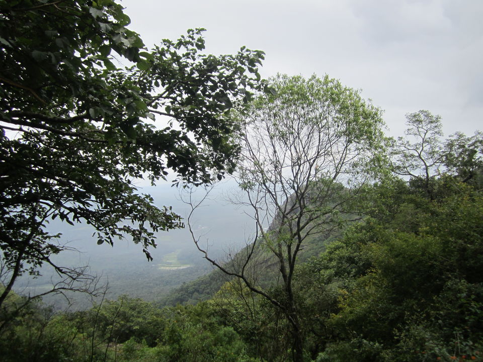 Photo of Kodanad! - A serene hilltop on Nilgiris range 12/12 by Manoj Kumar
