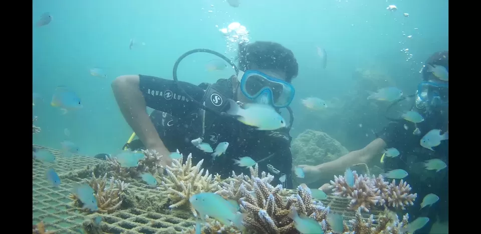 Photo of Andaman Islands, Andaman and Nicobar Islands by dvt_akash