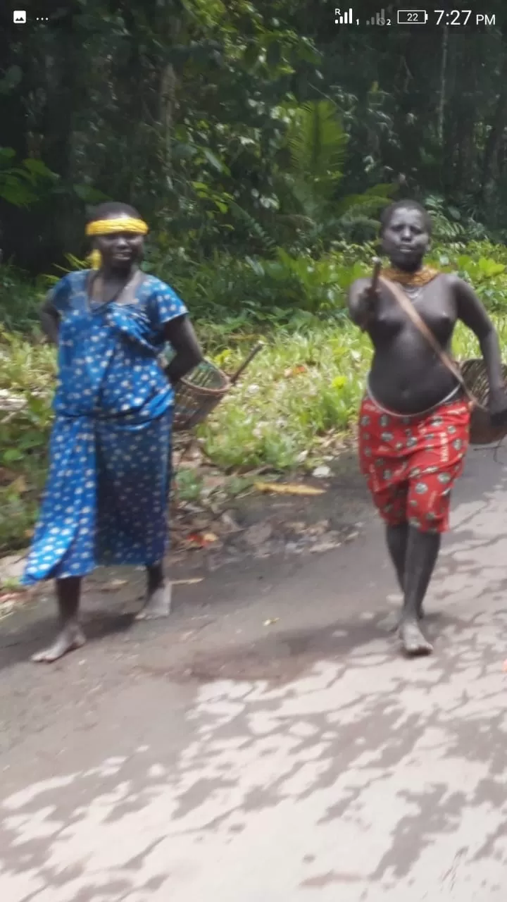 Photo of Andaman Islands, Andaman and Nicobar Islands by dvt_akash