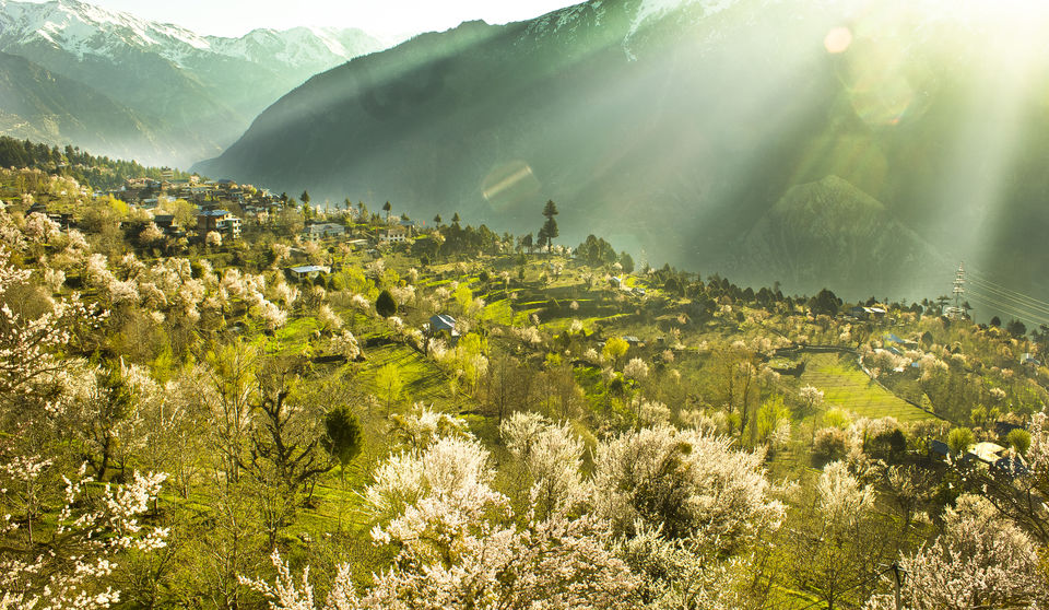 Photo of Reckong Peo, Himachal Pradesh, India by Deepti Asthana