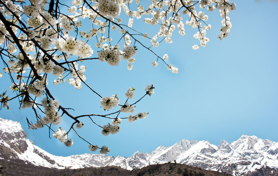 Photo of A peek into heaven - Kinnaur 6/12 by Deepti Asthana
