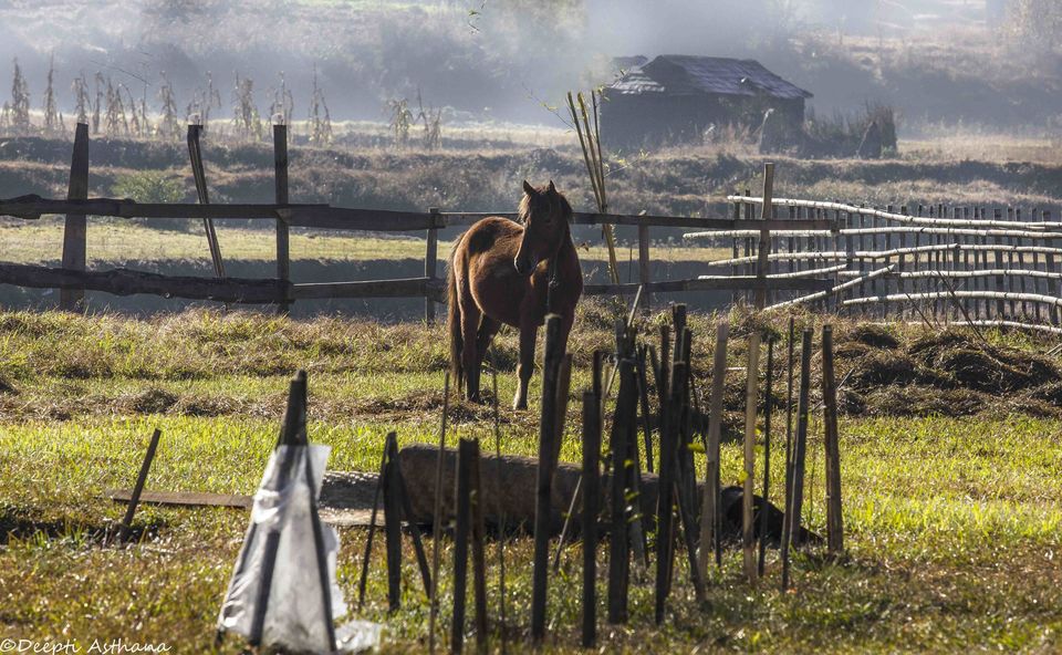 Photo of The secret escape from Shillong 7/8 by Deepti Asthana