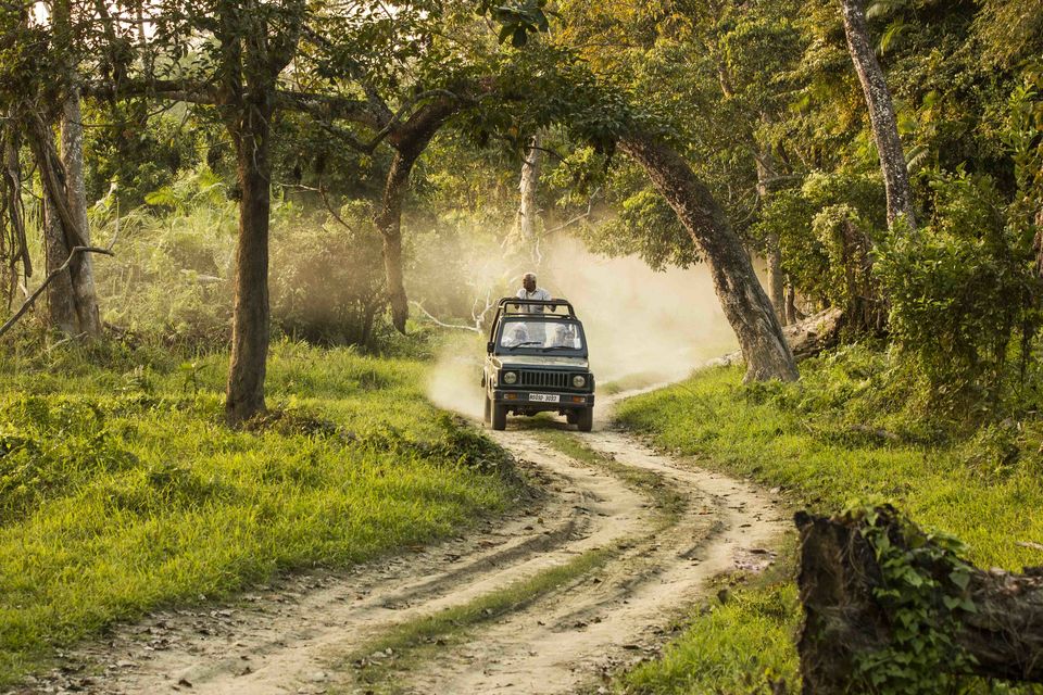 Photo of Chasing the wild in Kaziranga 4/9 by Deepti Asthana