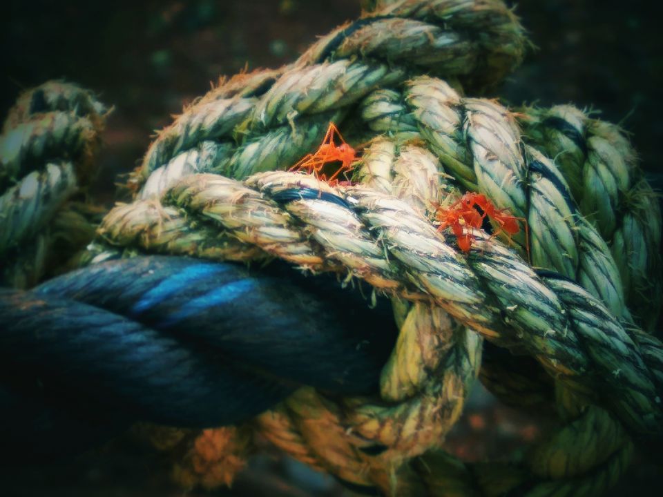 Photo of Kolad River Rafting - Origin of My Adventure Journeys #TravelGoal #WeekendWorthy by Pallavi Jadhav