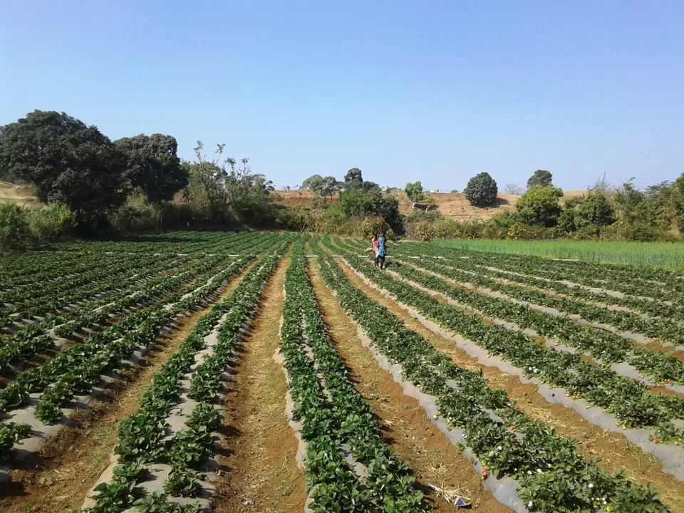 Photo of Chikhaldara, Maharashtra, India by Rajat Chakraborty