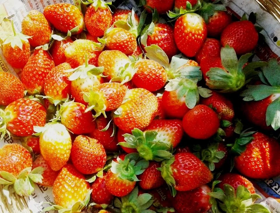 Photo of Chikhaldara, Maharashtra, India by Rajat Chakraborty