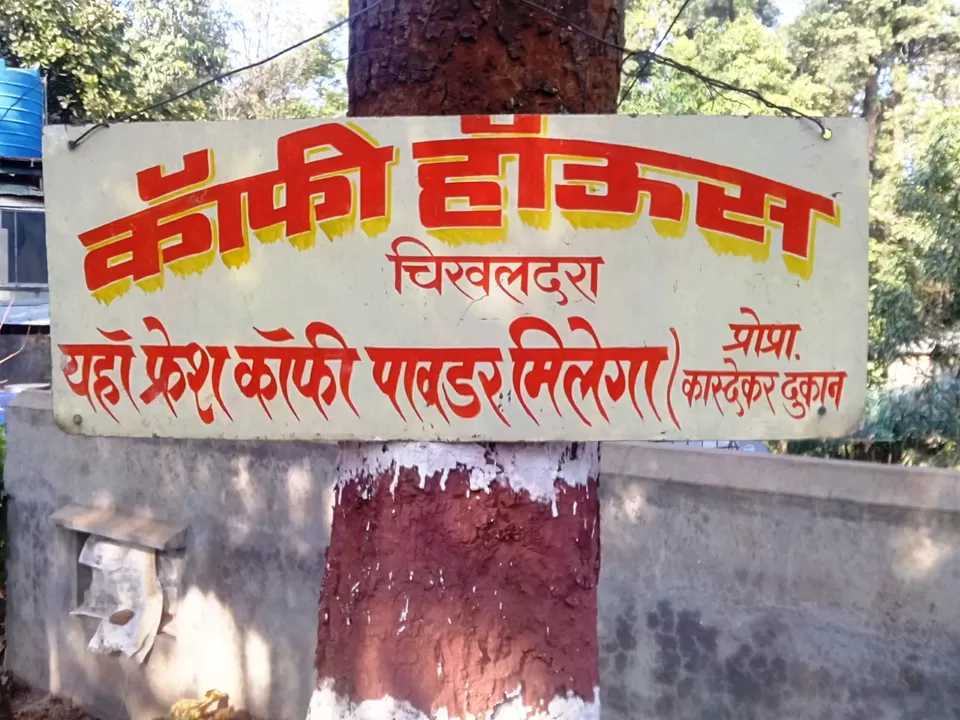 Photo of Coffee farms, Chikhaldara by Rajat Chakraborty