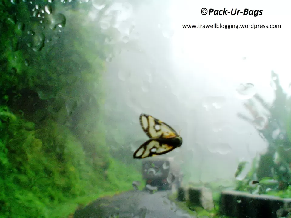 Photo of Tenga by Rajat Chakraborty