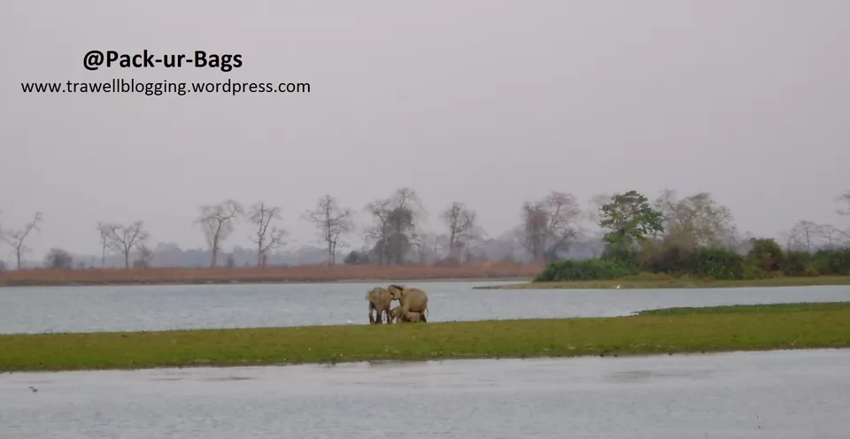 Photo of Kaziranga National Park, Kanchanjuri, Assam, India by Rajat Chakraborty